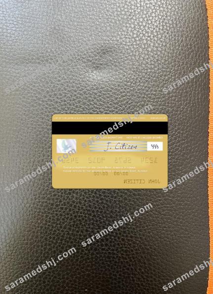 Albania Union Bank visa card photolook back